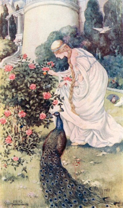 El cuento del caballero de Anne after Anderson